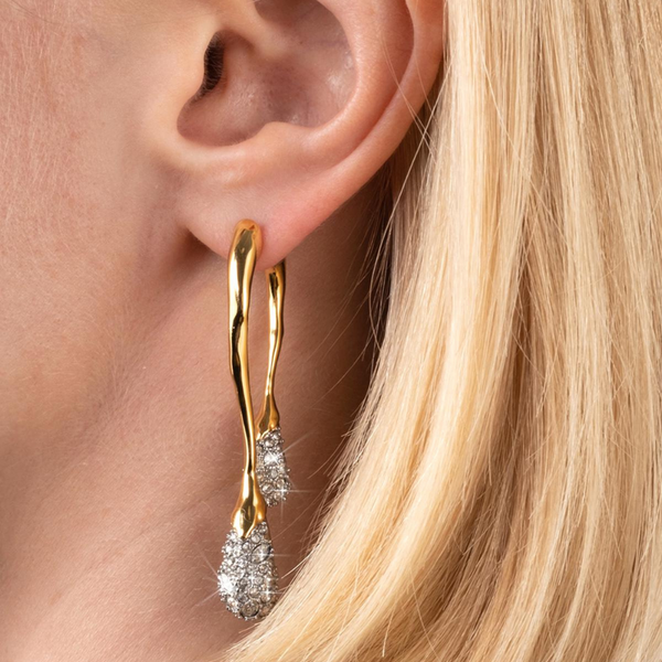 Alexis Bittar Solanales Crystals Front Back Link Earrings