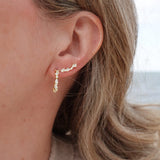 Loulerie Crystal Ear Climbers