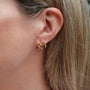 bow studs
