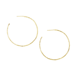 Gold Hoops