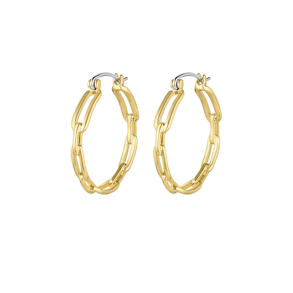Link hoops