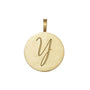 Y initial disc