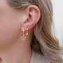 Close-up of a person wearing gold star-shaped earrings with a neutral background