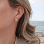 crystal earrings