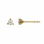 Gold earrings with clear gemstones on a white background