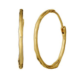 Gold hoop earrings on a white background