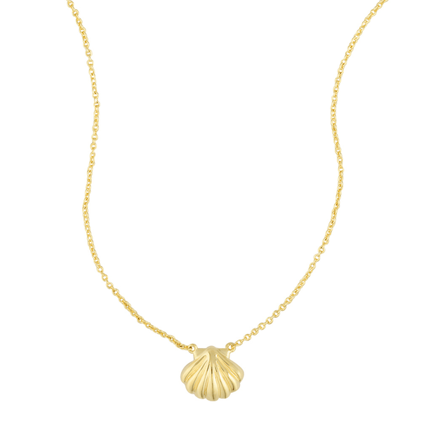 Loulerie Shell Necklace