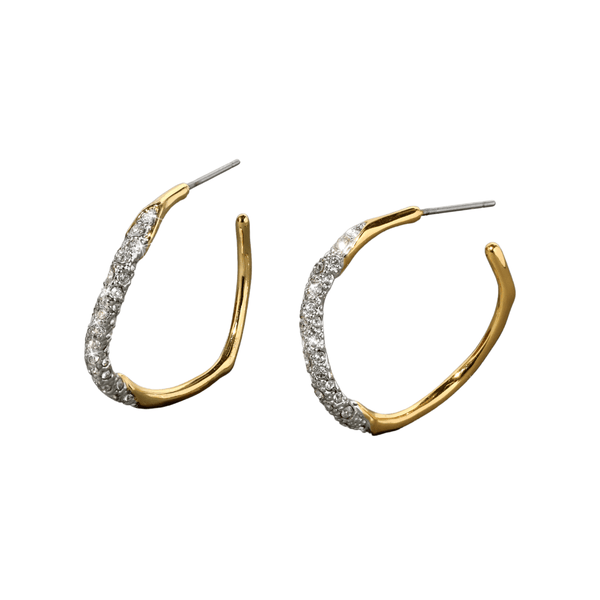 Alexis Bittar Medium Two Tone Pave Hoop Earring