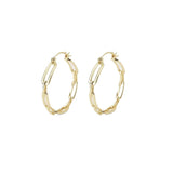 gold link hoops