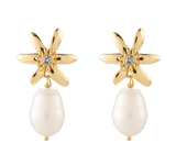 Mignonne Gavigan Elena Pearl Drop Earrings