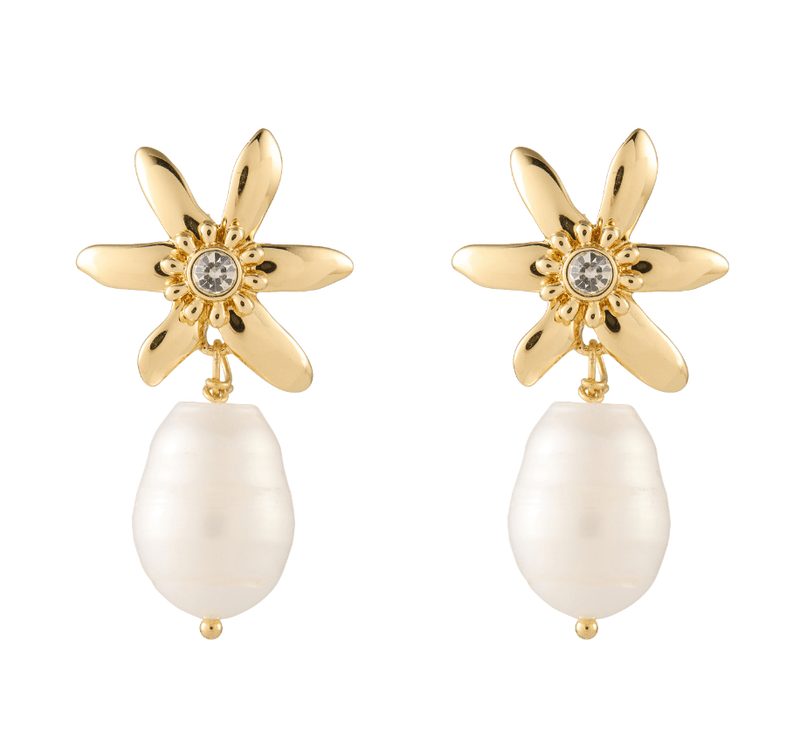 Mignonne Gavigan Elena Pearl Drop Earrings